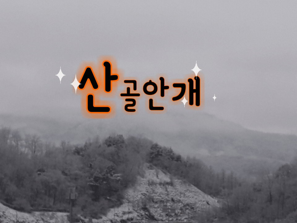 주말은 | 보배드림 자유게시판