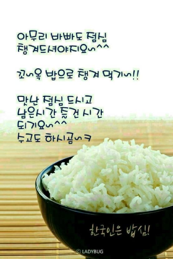 맛점하세요.. | 보배드림 자유게시판