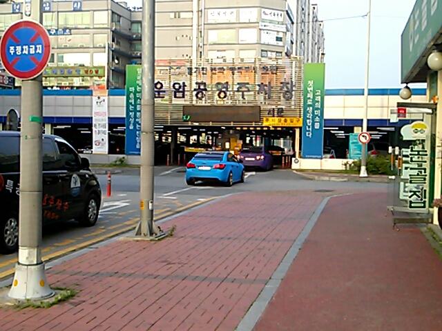 무광 | 보배드림 직찍/특종발견