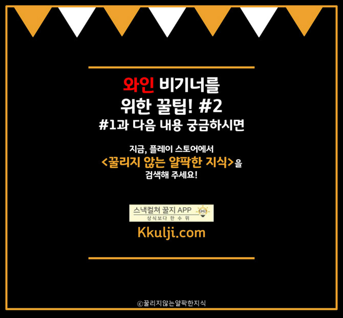 와인 비기너를 위한 꿀팁! #2 | 보배드림 자유게시판