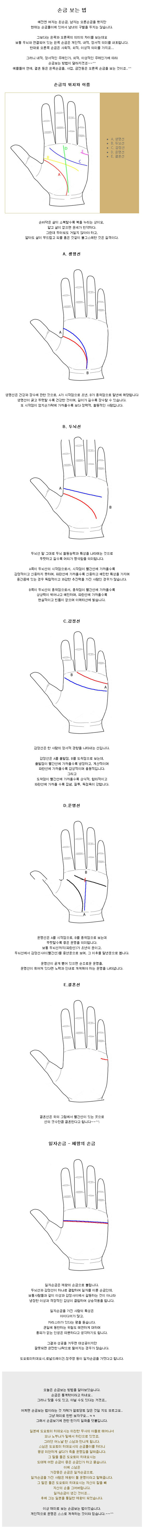 알짜손금입니다 자기손금은자기가
