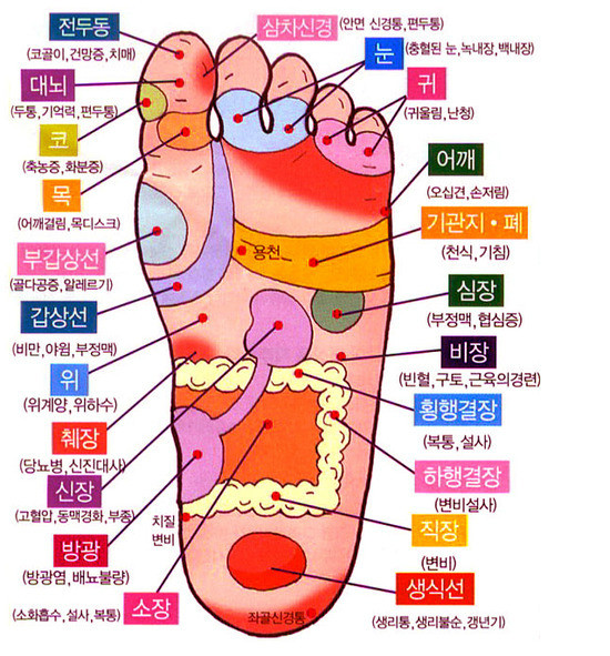 알짜손금입니다 자기손금은자기가