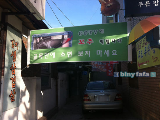 꼬추 이미지