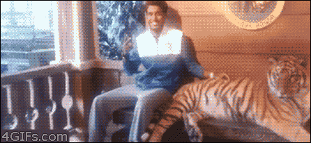 CFQ50bfe8c2d239f.gif