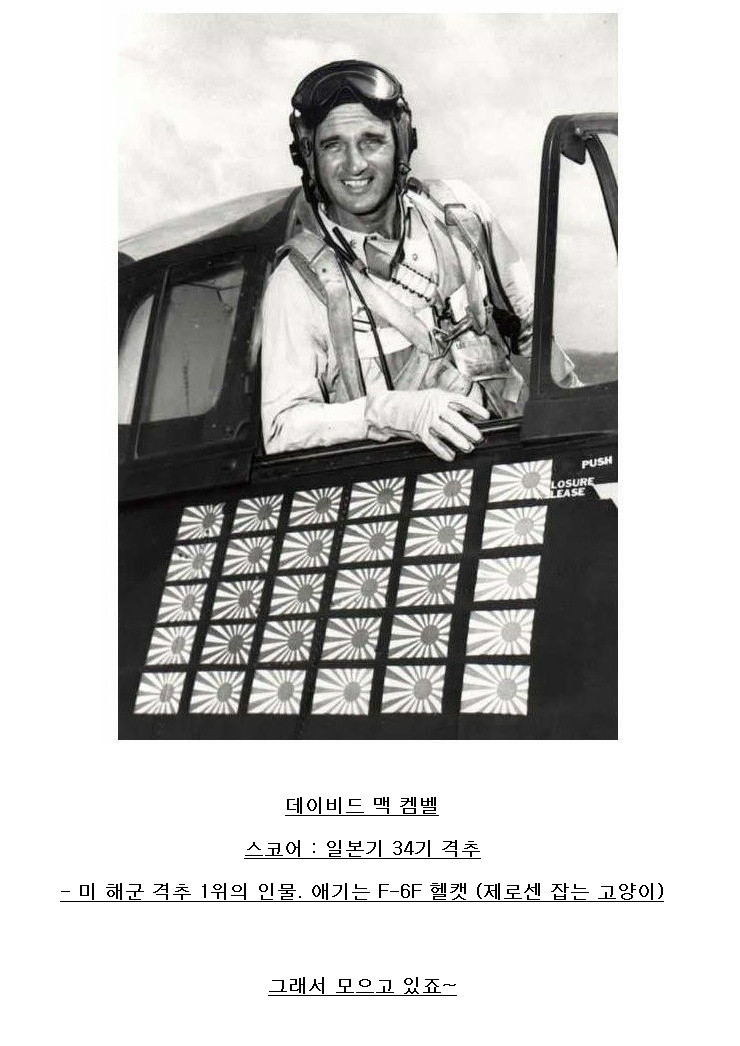 저는 원숭이 욱일기 가 좋습니다@@