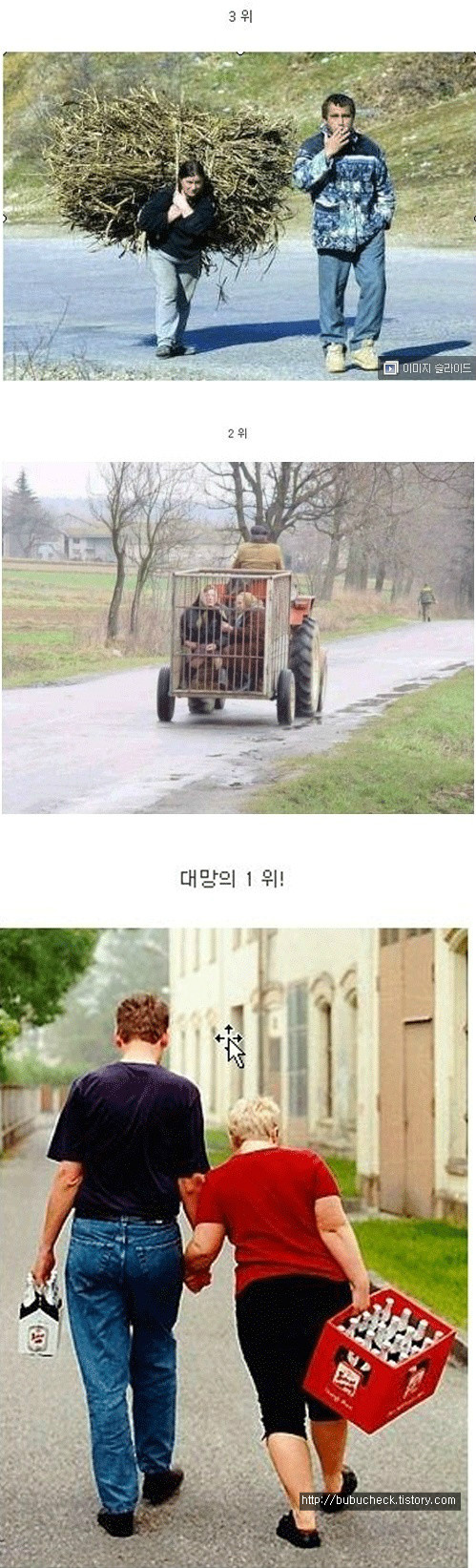우리나라 보슬들이보면 혐오사진@@