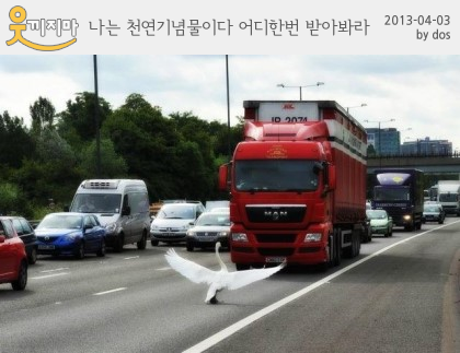 천연기념물-
