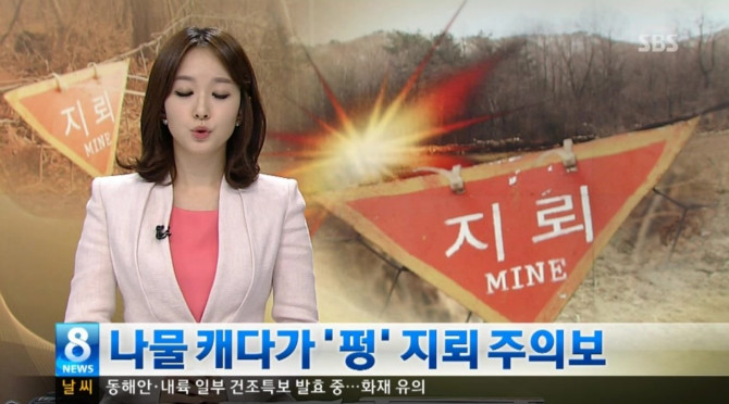SBS 뽀뽀 아나운서 
