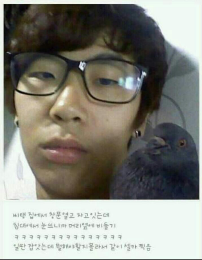 둘기 !!
