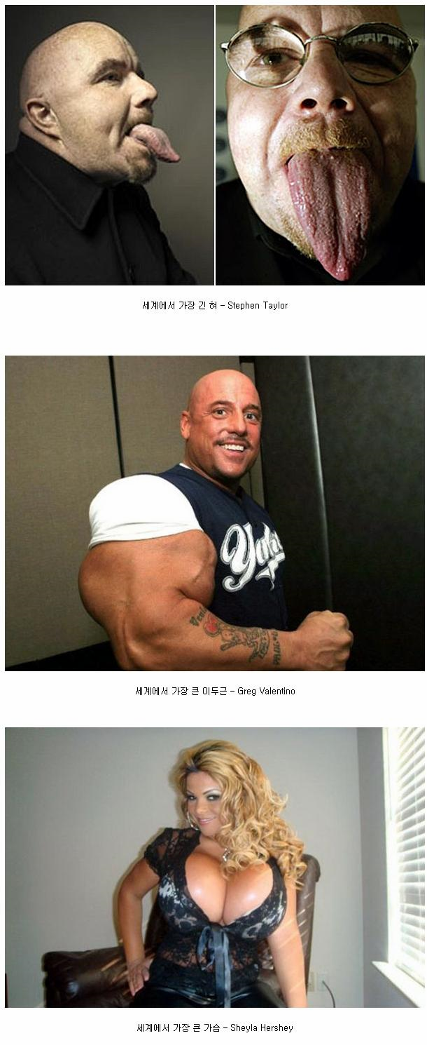 기네스북 기록자들@