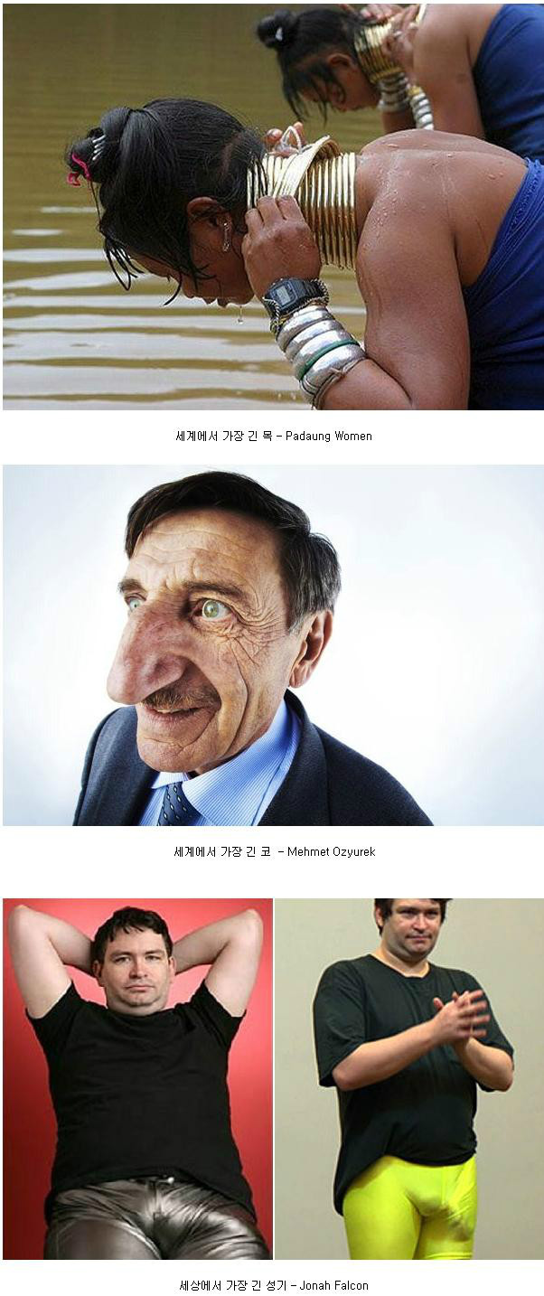 기네스북 기록자들@