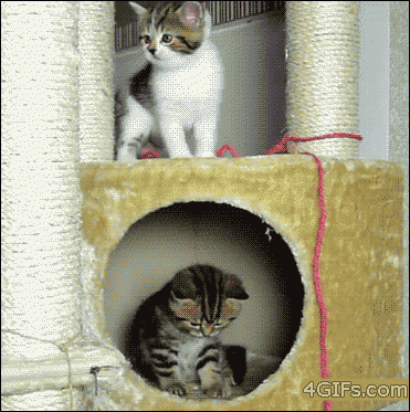Ŭ���Ͻø� ���� �̹����� ���� �� �ֽ��ϴ�.