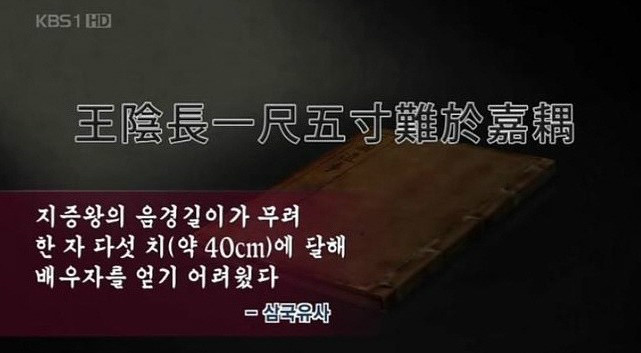 위대한 자증왕 @@!!