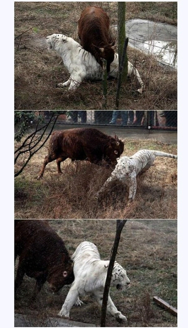 역관광 !!
