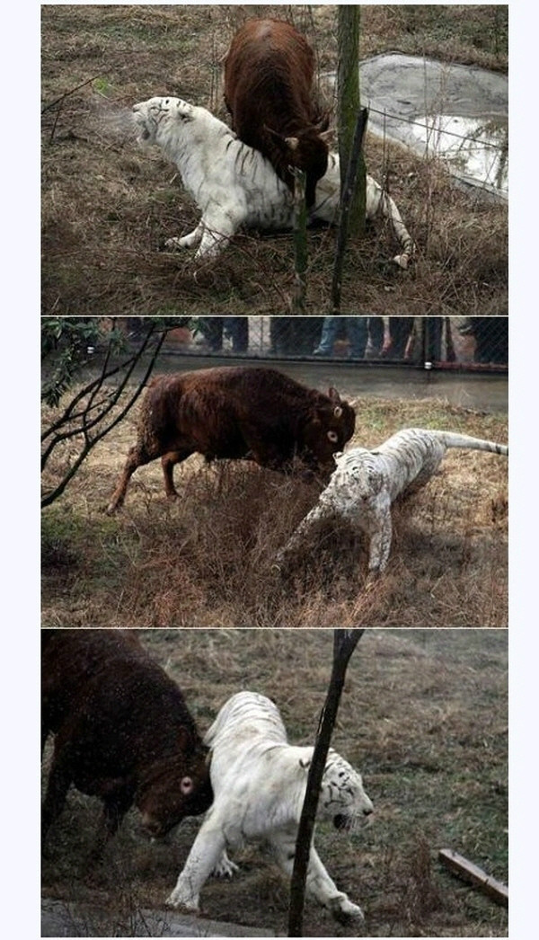역관광.ㅋㅋ