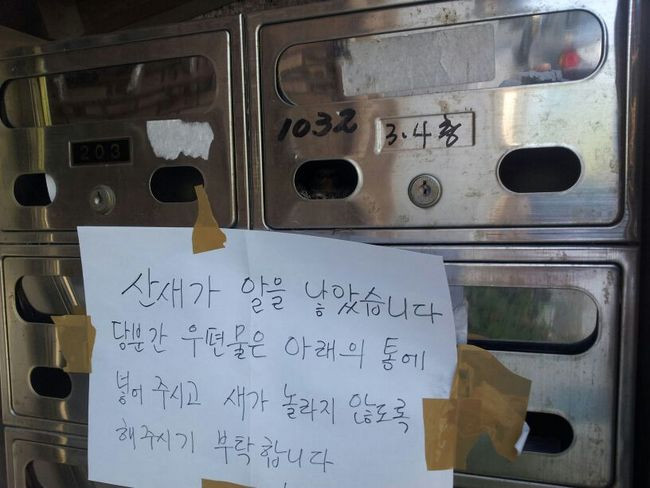 놀라운 새집~~ 