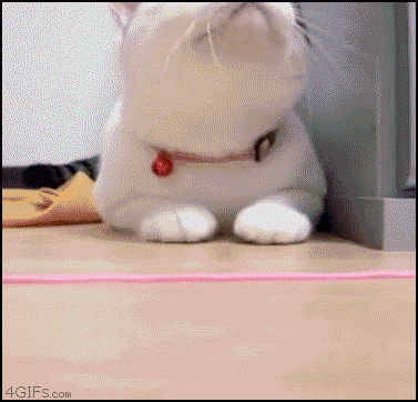 오잉?~