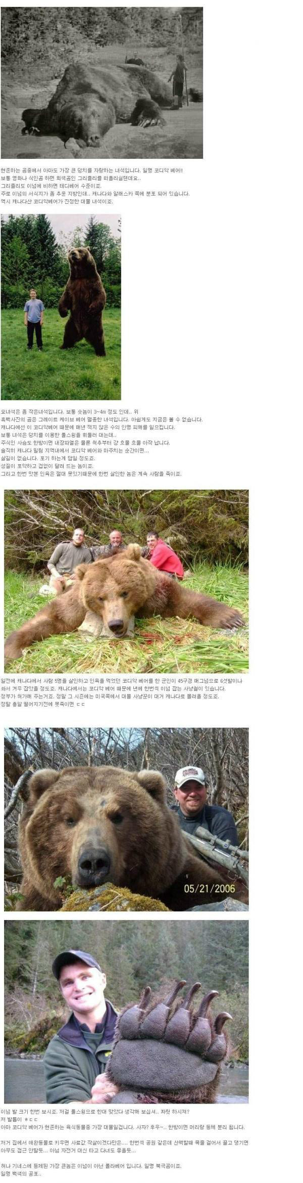 사람5명 잡아먹은 900kg짜리 