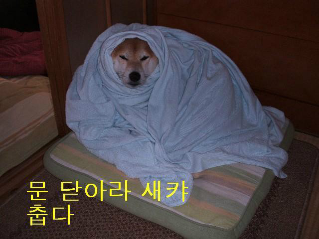 문닫아라 새꺄 바람들어온다
