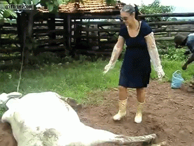 제대로 꽃힘
