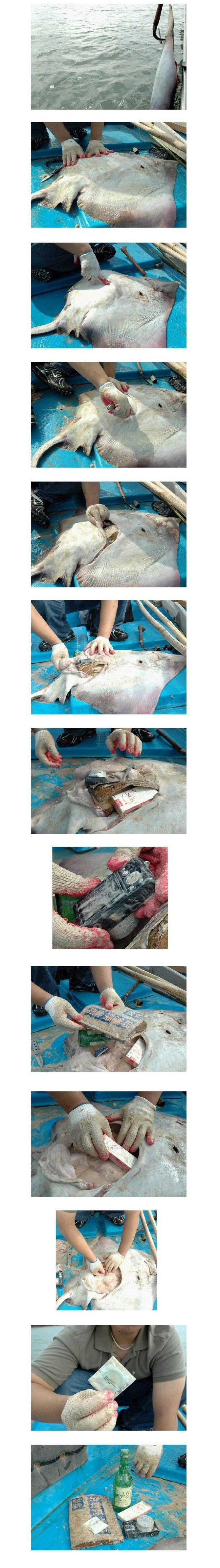 별걸 다먹내 ..
