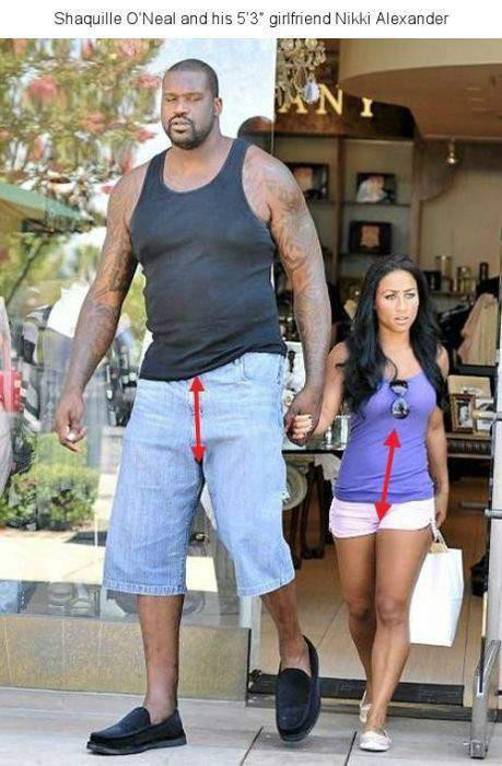 공룡센터~