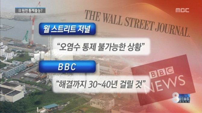 결국은 인정하는 원숭이국