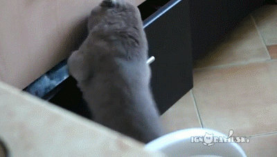▶ 헛... ㅆㅂ 딱걸렸다... ㅡㅡ;; 