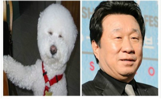 다 ... 닮았어....