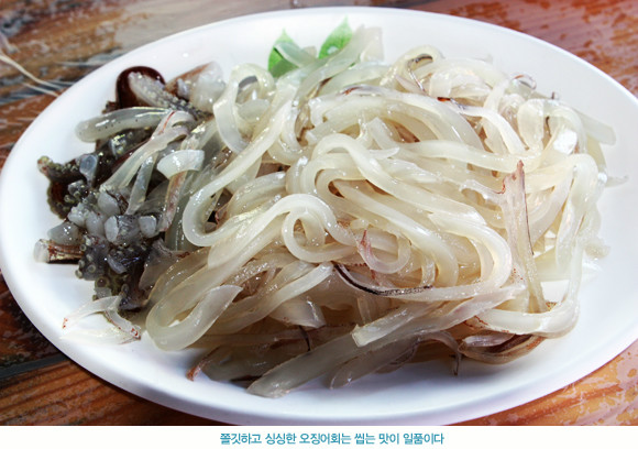 오징어 VS 한치 VS 호래기 