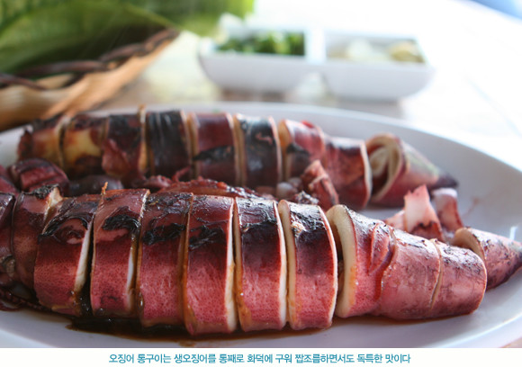 오징어 VS 한치 VS 호래기 