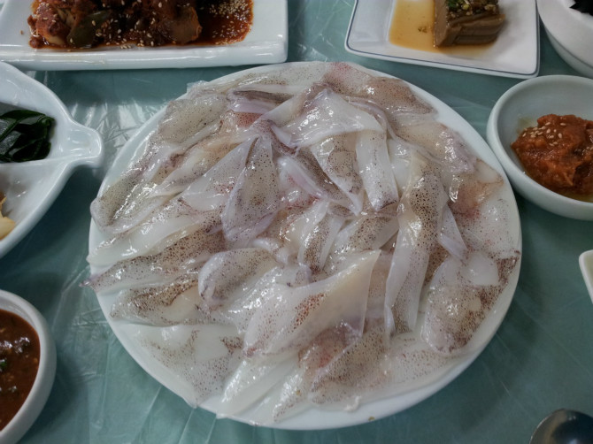 오징어 VS 한치 VS 호래기 