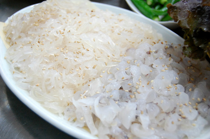 오징어 VS 한치 VS 호래기 
