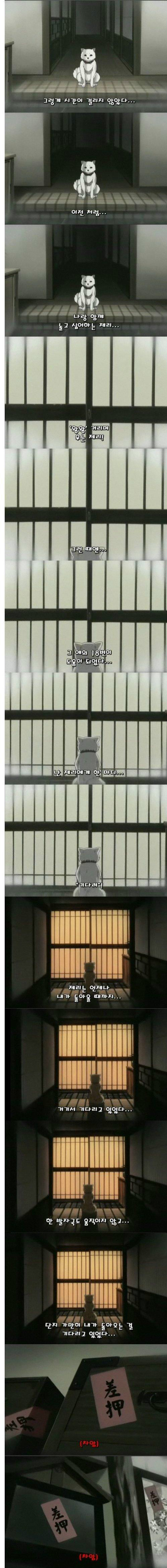 제리 이야기