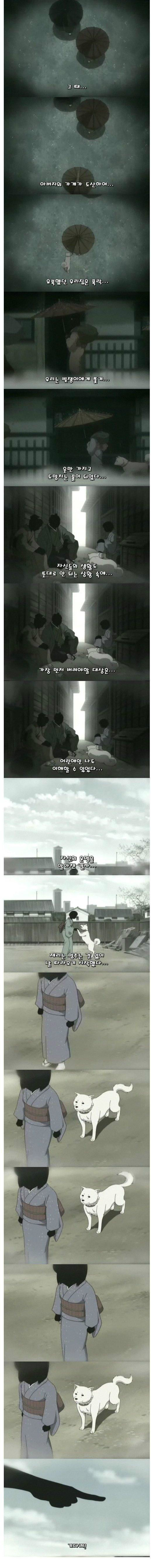 제리 이야기