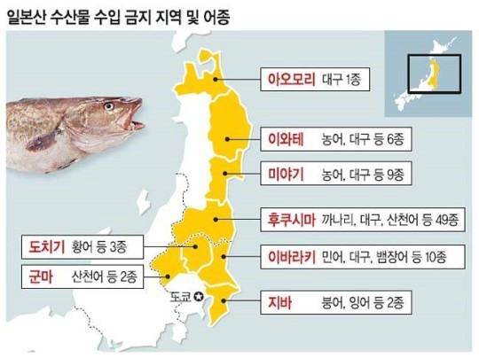 [일본의 적반하장]