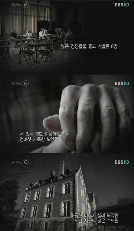 하버드 심리학과의 위엄