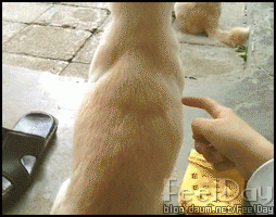 이만 자겠소