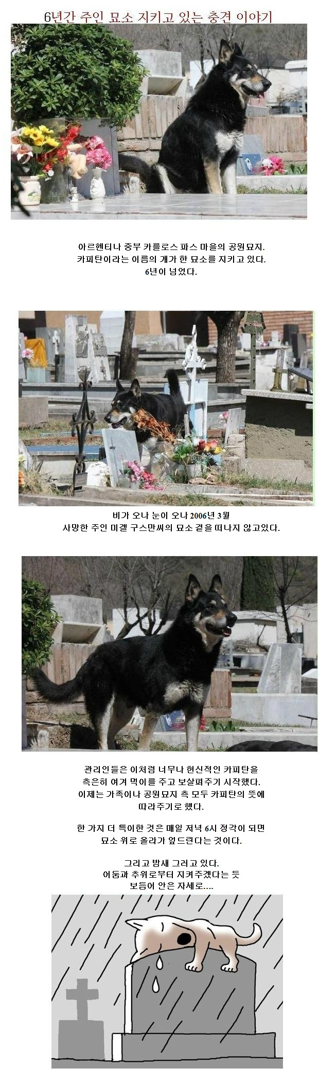 6년간 묘소를 지키고 있는 개