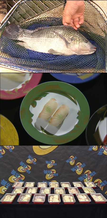 가짜 도미 (틸라피아)