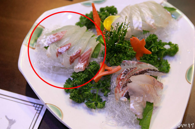 가짜 도미 (틸라피아)
