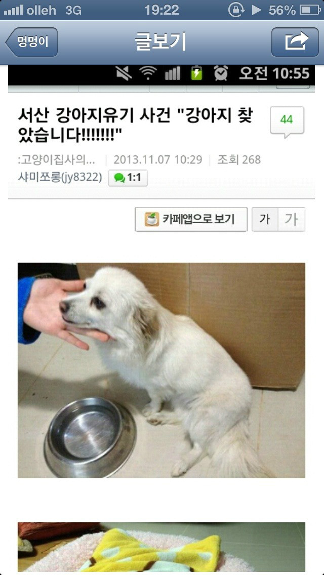 개 버리고 가는 블박 버린받은 개 찾음