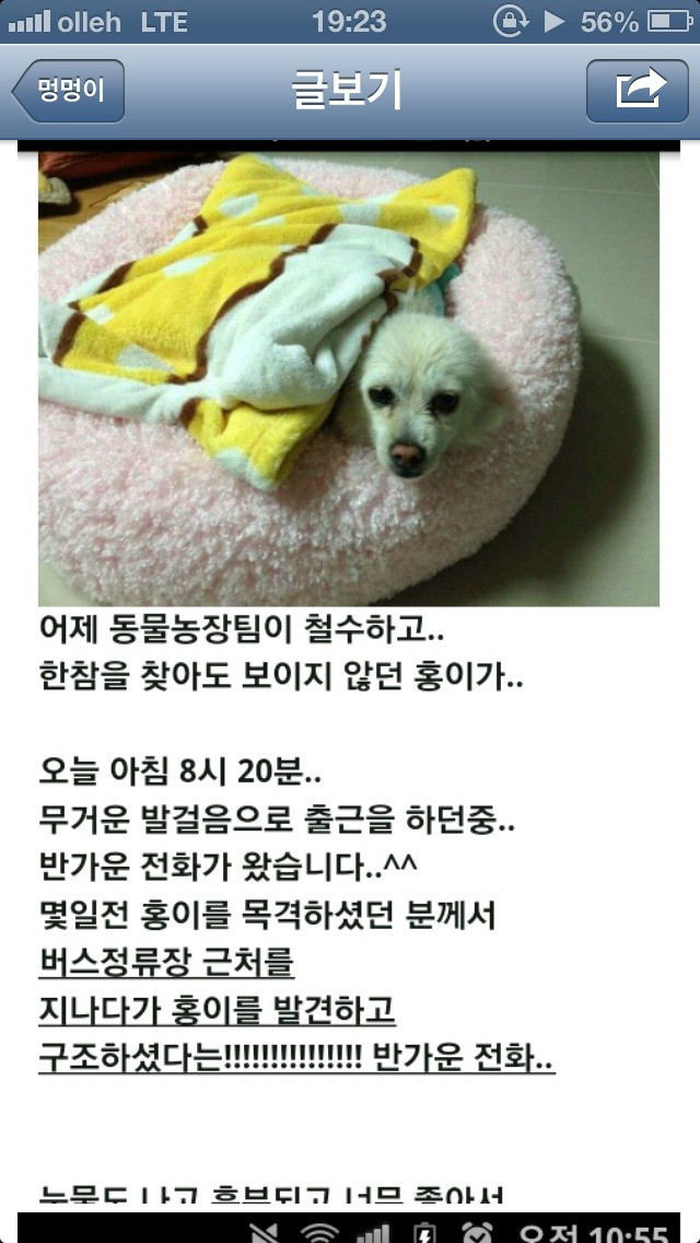 개 버리고 가는 블박 버린받은 개 찾음