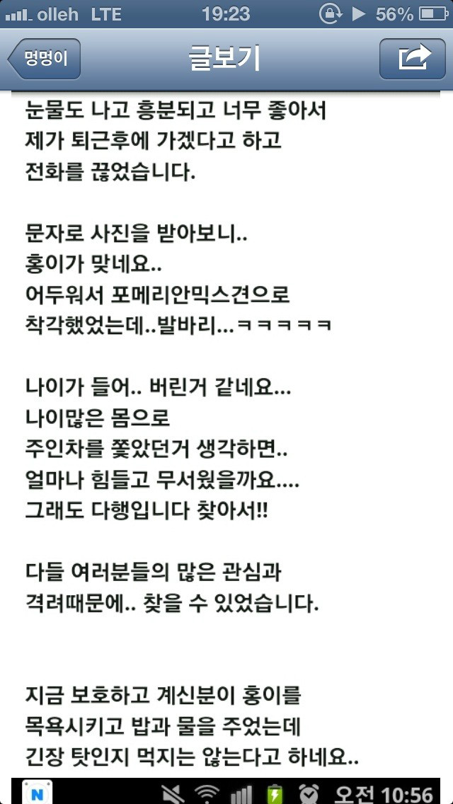개 버리고 가는 블박 버린받은 개 찾음