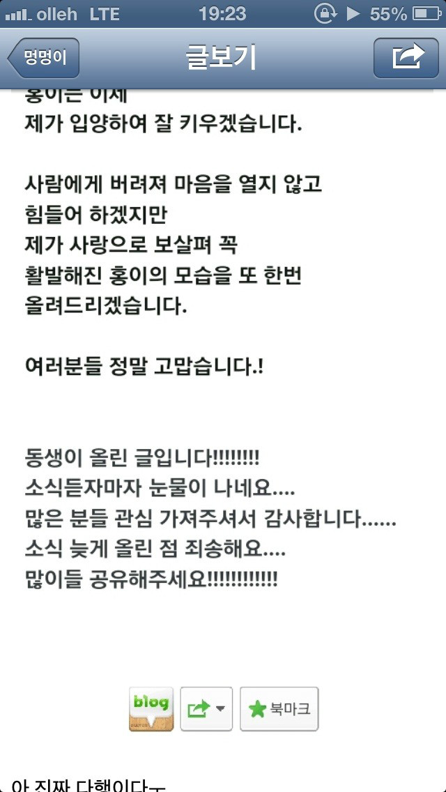개 버리고 가는 블박 버린받은 개 찾음
