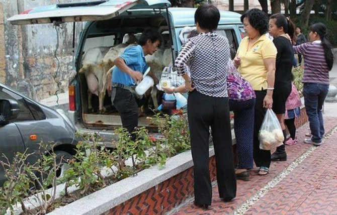 정말 신선한 우유 배달차...