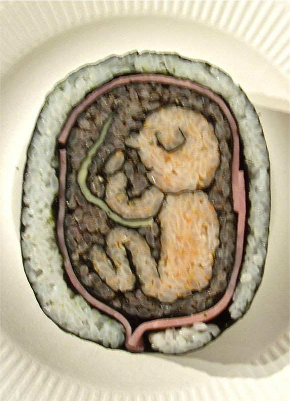 김밥도 이정도면 예술이네 
