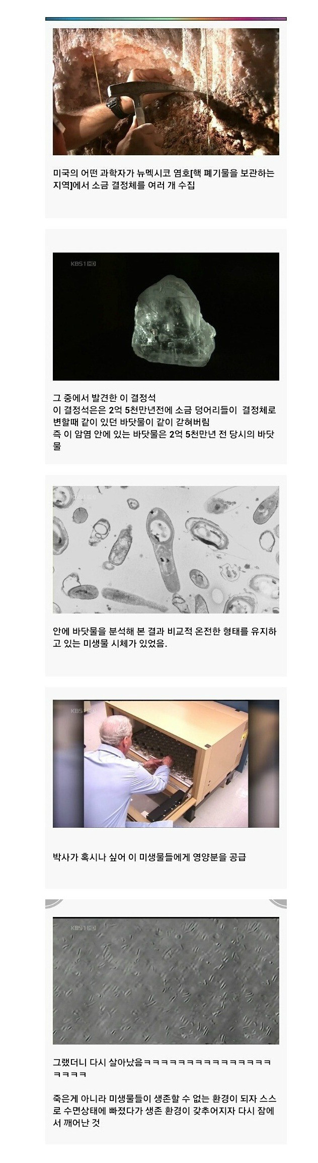 2억5천만녀간의 취침 