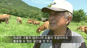 한우가 좋은 이유...