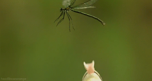 아쉽다